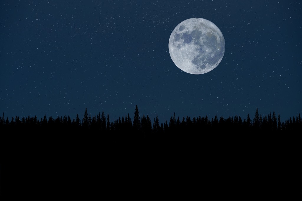 Super księżyc nad nocnym lasem