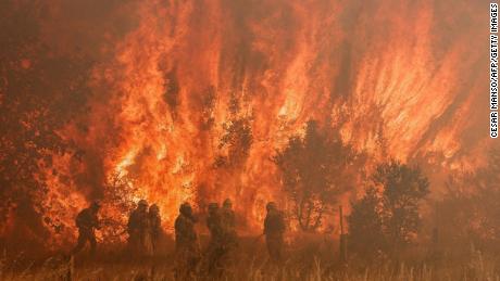 Hiszpańska fala upałów ma się zakończyć w poniedziałek, ale strażacy wciąż zmagają się z pożarami w północnych regionach, w tym w Pomarego de Terra w pobliżu Zamory.