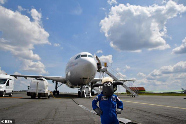 Owca Shaun odbył również lot na pokładzie Airbusa Zero G 'A310, podczas jednego z jego równoważnych lotów, które odtwarzają warunki „nieważkości” dla osób z doświadczeniem w kosmosie.