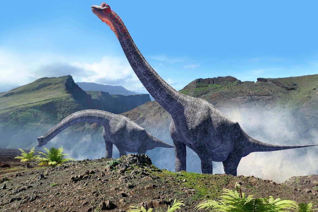 Szkielet prawdopodobnie należał do dinozaura zauropoda, który wędrował po terytorium współczesnej Portugalii między 160-100 mln lat temu. 