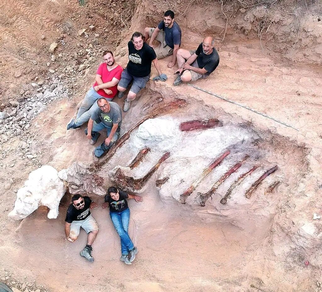 W sierpniu paleontolodzy zebrali 10-stopowe żebra.  