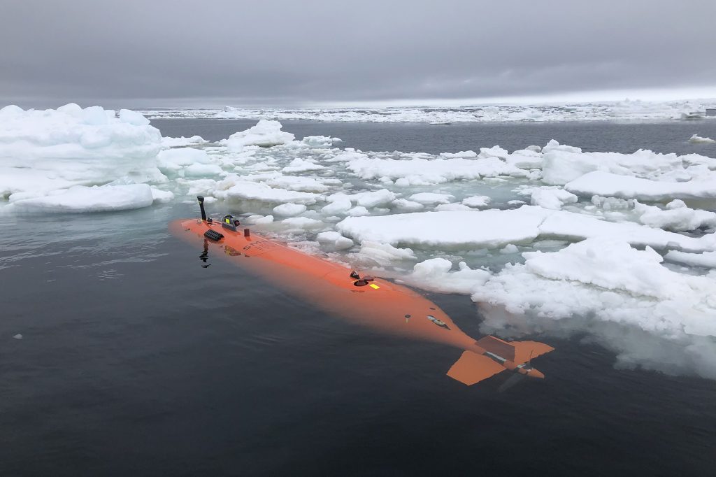 Na początku tego roku międzynarodowa grupa naukowców podjęła próbę zbadania lodowca, aby pomóc powstrzymać erozję.