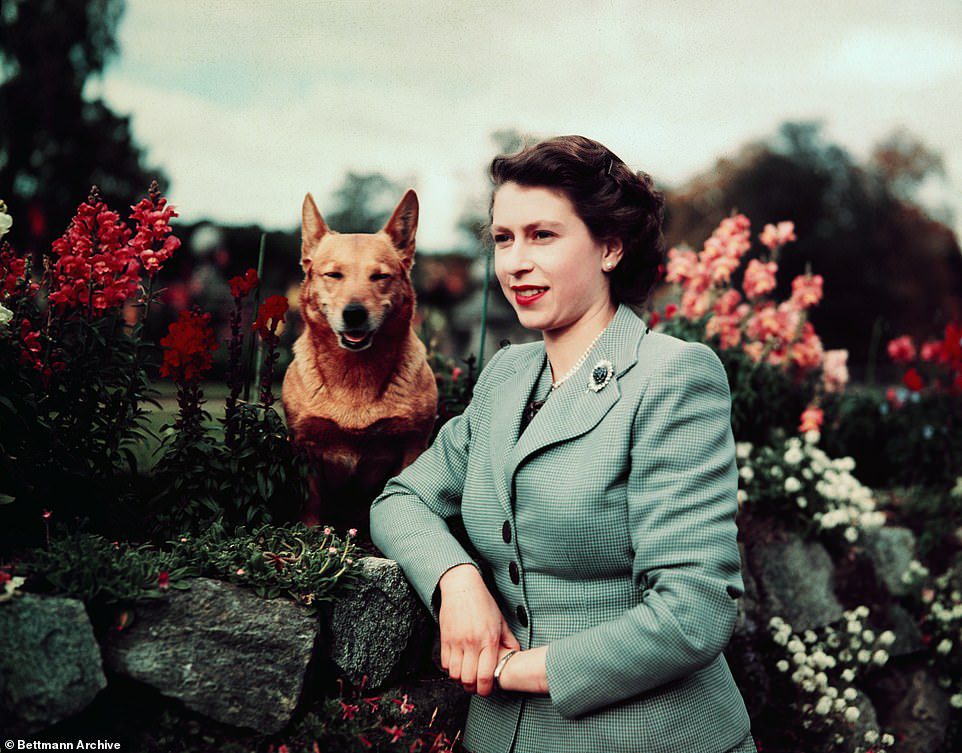 Zaledwie kilka tygodni temu widziano królową wyprowadzającą psy po ogrodach – coś, co robiła od dziesięcioleci