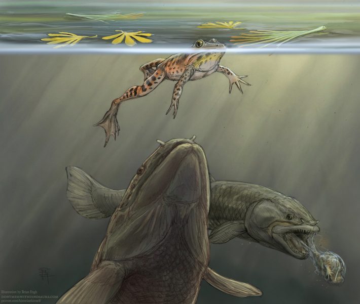 Ilustracja przedstawiająca prehistoryczną rybę zbliżającą się do nieświadomej żaby na powierzchni wody i inną rybę rzucającą żabę w tle